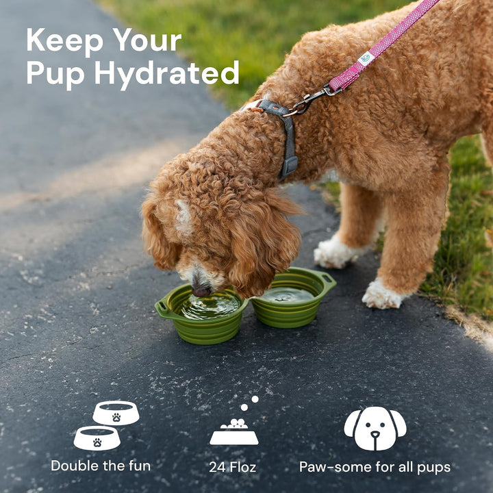 Silicone Dog Bowl *New*