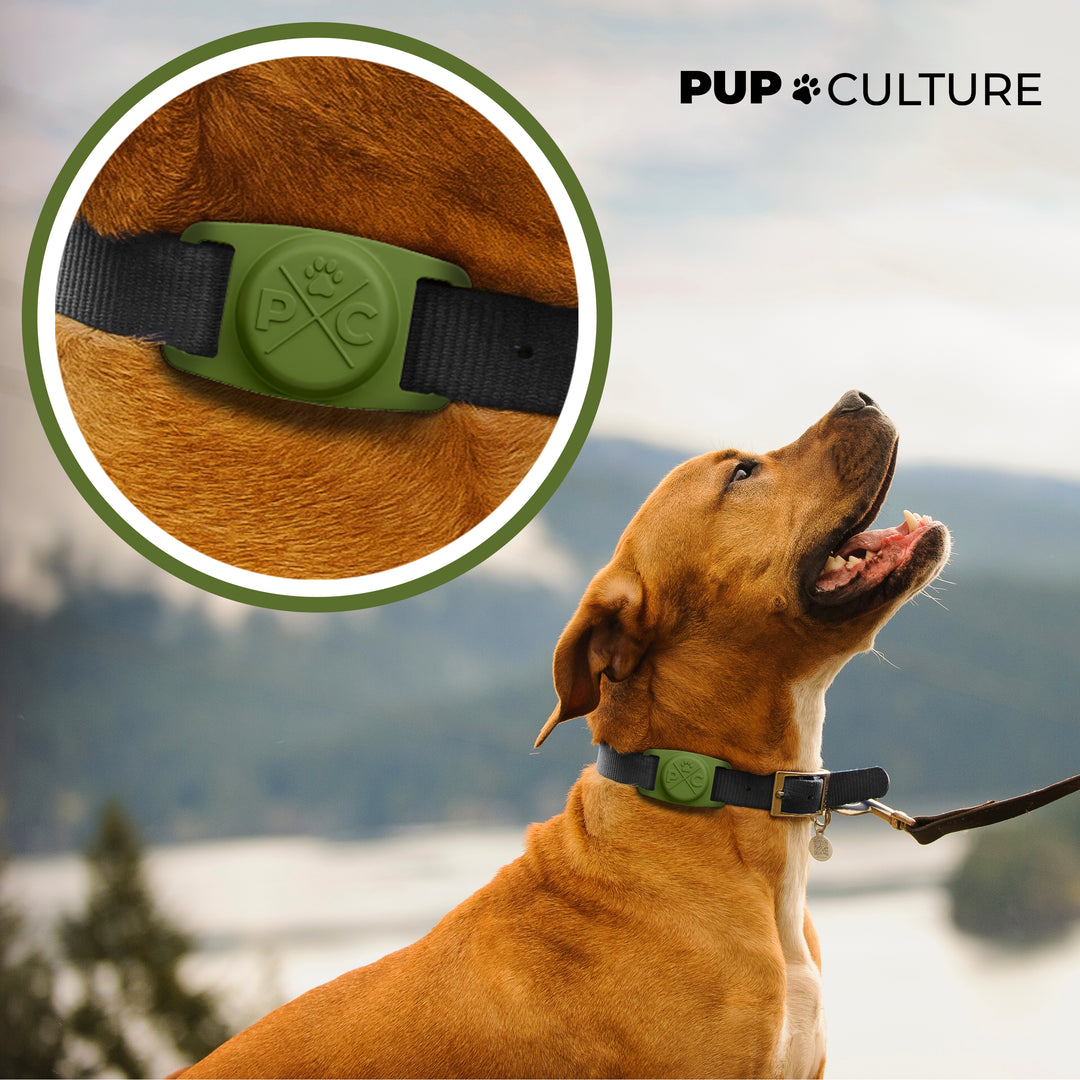 Green AirTag Dog Collar Holder#color_green