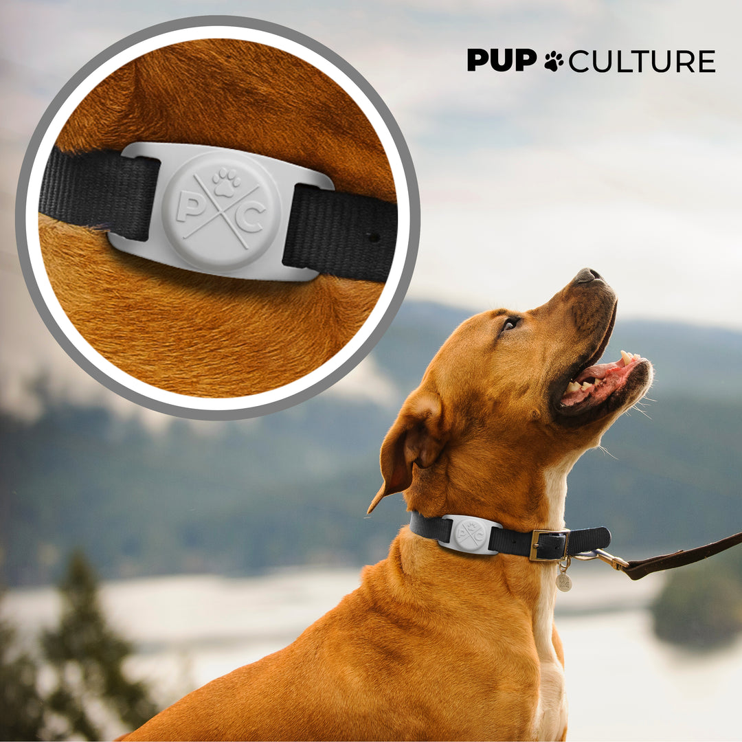 Grey AirTag Dog Collar Holder#color_grey