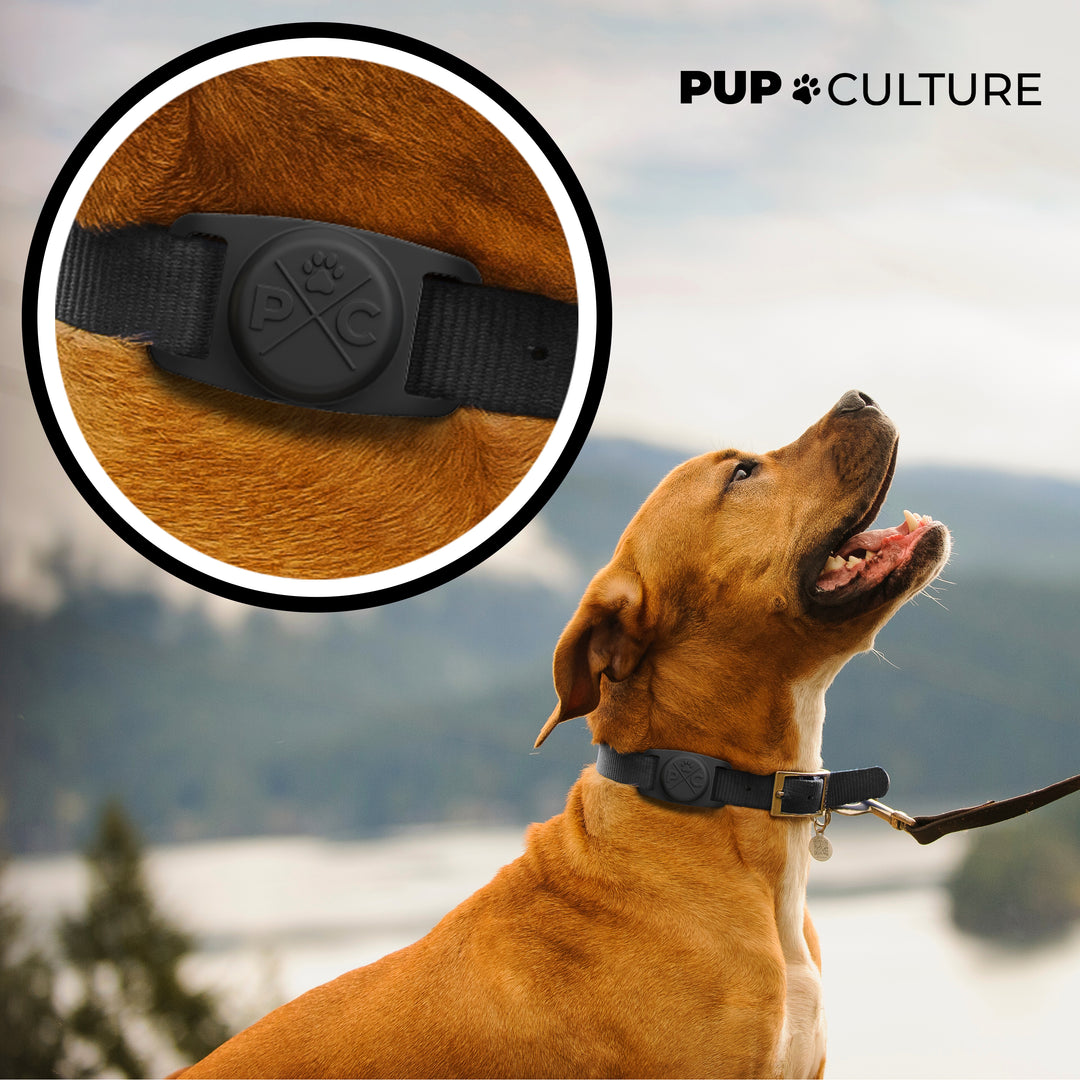 Black AirTag Dog Collar Holder#color_black