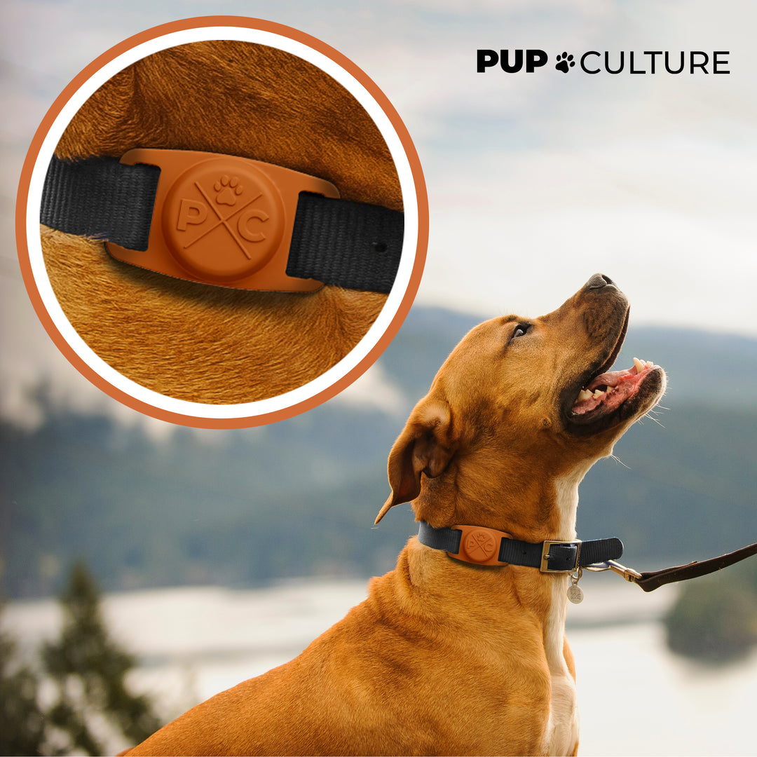 Orange AirTag Dog Collar Holder#color_orange