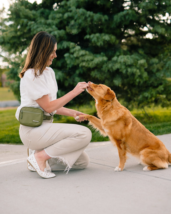 Cross Body Dog Treat Bag *50% OFF Launch Sale*