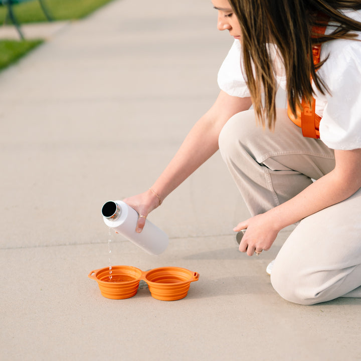 Silicone Dog Bowl *New*