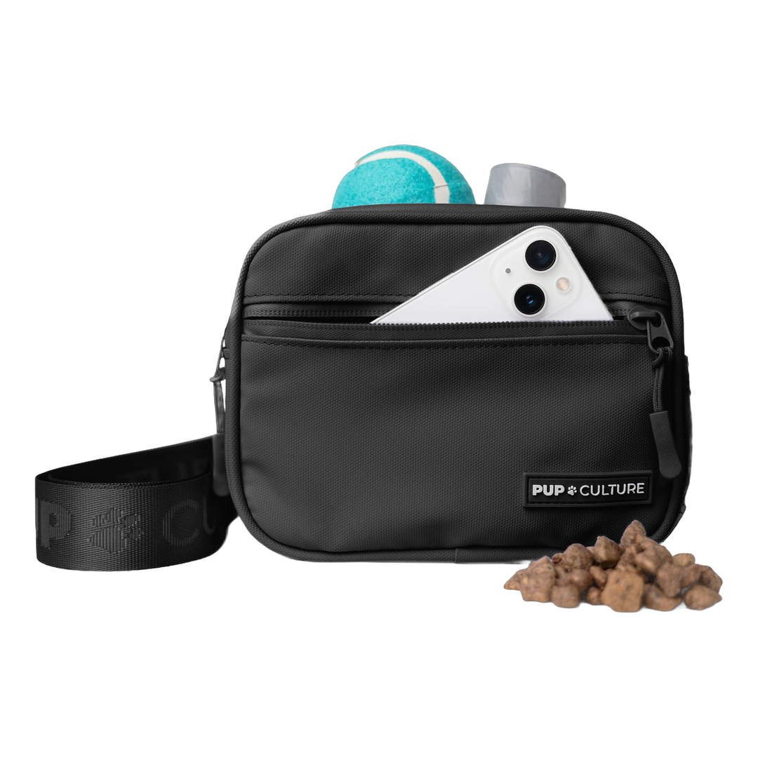 Cross Body Dog Treat Bag