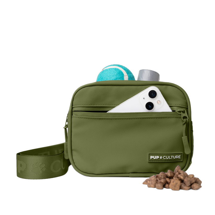 Cross Body Dog Treat Bag