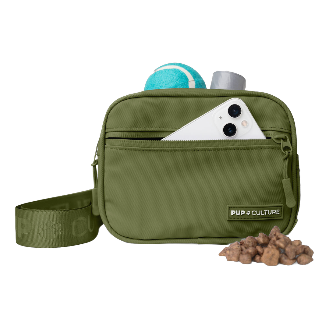 Cross Body Dog Treat Bag