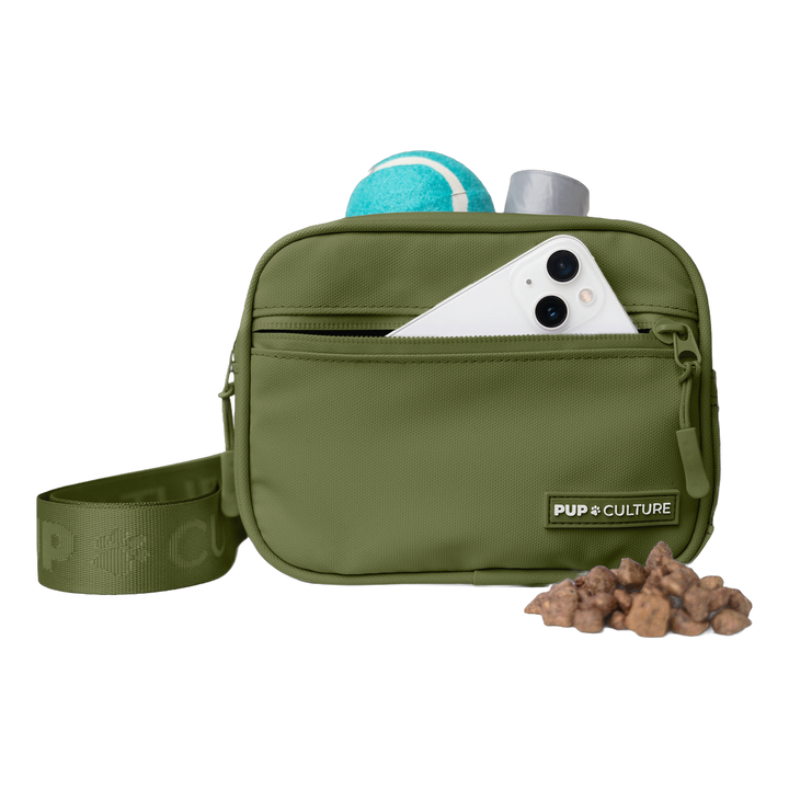 Cross Body Dog Treat Bag