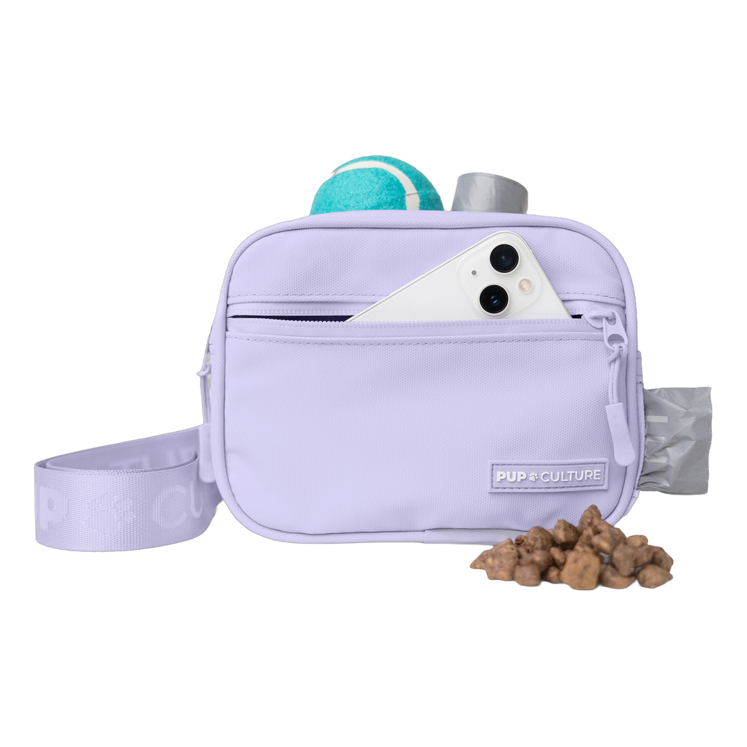 Cross Body Dog Treat Bag