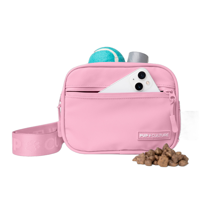 Cross Body Dog Treat Bag