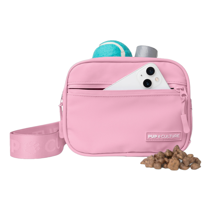 Cross Body Dog Treat Bag